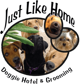 Just Like Home Doggie Hotel and Grooming